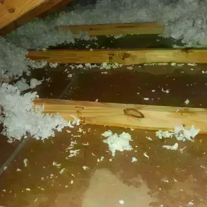 Attic Water Damage in Dickeyville, WI