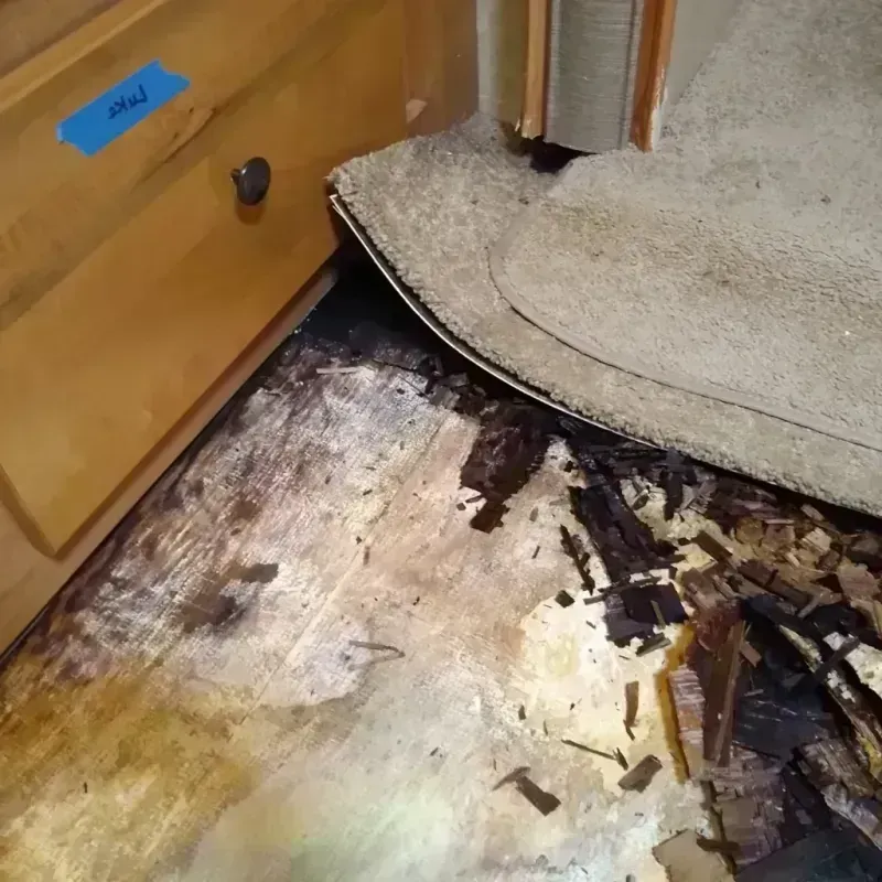 Wood Floor Water Damage in Dickeyville, WI